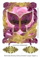 Butterfly Beauty Fancy Framed Large Topper 4