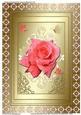 Framed Beautiful Rose with Ornaments & Butterflies (gold)