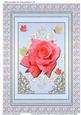 Framed Beautiful Rose with Ornaments & Butterflies (pb)
