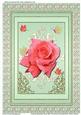 Framed Beautiful Rose with Ornaments & Butterflies (pg)