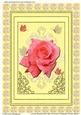 Framed Beautiful Rose with Ornaments & Butterflies (py)