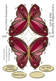 Cut & Fold Butterfly Shaped Card 4
