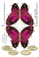 Cut & Fold Butterfly Shaped Card 7
