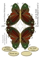 Cut & Fold Butterfly Shaped Card 12