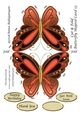 Cut & Fold Butterfly Shaped Card 13