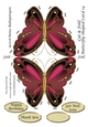 Cut & Fold Butterfly Shaped Card 14