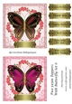 Two 5x5in Toppers With Butterfly Set 6