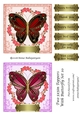 Two 5x5in Toppers With Butterfly Set 10