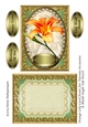 Orange Lily Card Front For Various Occasions & Blank Single Side Insert