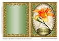 Orange Lily With Love Quick Cut & Fold Card