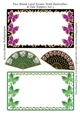 Two Blank Card Fronts With Butterflies & Fan Toppers Set 3