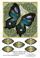 Mystic Butterfly Card Front 8