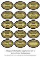 Shaped Metallic Captions Set 2