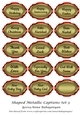 Shaped Metallic Captions Set 3