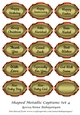 Shaped Metallic Captions Set 4