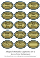 Shaped Metallic Captions Set 5