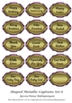 Shaped Metallic Captions Set 6