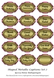 Shaped Metallic Captions Set 7