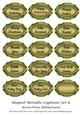 Shaped Metallic Captions Set 8