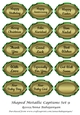 Shaped Metallic Captions Set 9