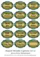 Shaped Metallic Captions Set 10