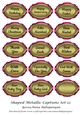 Shaped Metallic Captions Set 12
