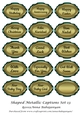 Shaped Metallic Captions Set 13
