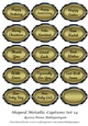Shaped Metallic Captions Set 14