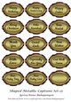 Shaped Metallic Captions Set 15