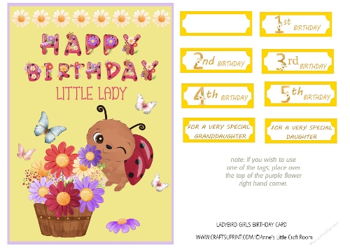 cup1378269_107604 - LADYBIRD GIRLS BIRTHDAY CARD