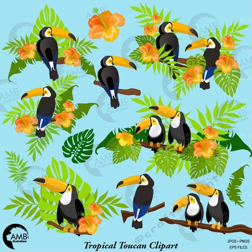 Tropical Toucan Clipart AMB-2453