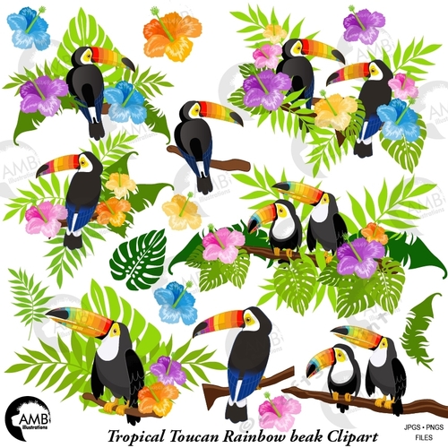 Tropical Toucan Rainbow Beak Clipart AMB-2456
