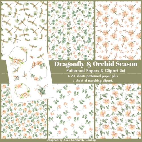 Dragonfly & Orchid Season