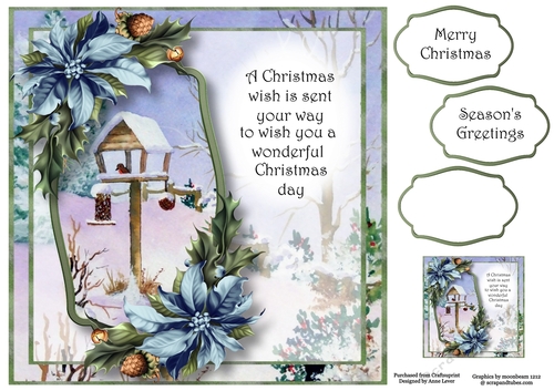 Scenic Verse Christmas - Blue Poinsettias 8x8
