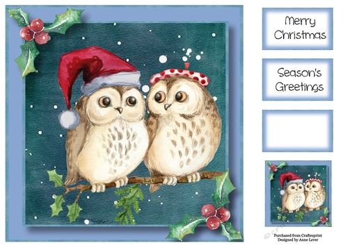 Christmas Couple - Festive Owls 8x8
