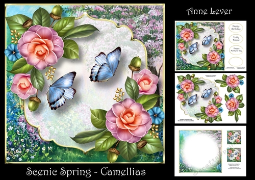 Scenic Spring - Camellias