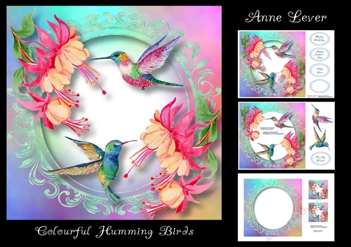 Colourful Humming Birds