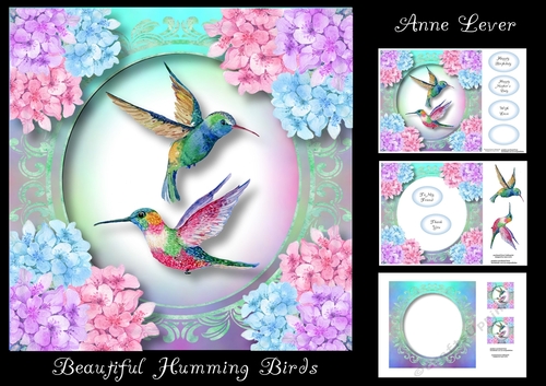 Beautiful Humming Birds