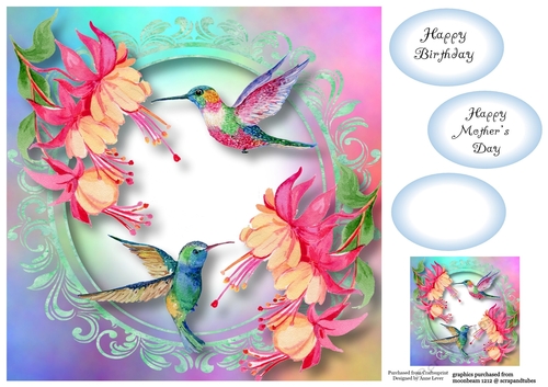 Colourful Humming Birds 8x8
