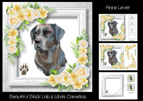 Beautiful Black Lab & White Camellias