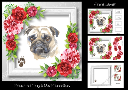 Beautiful Pug & Red Camellias