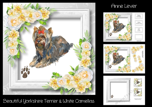 Beautiful Yorkshire Terrier & White Camellias