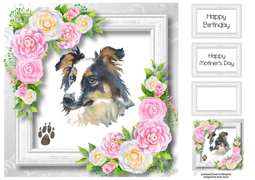 Beautiful Border Collie & Pink Camellias 8x8