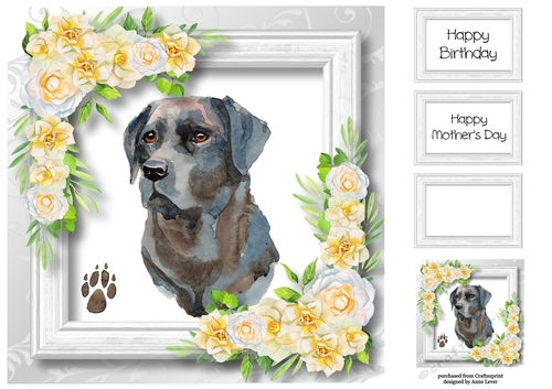 Beautiful Black Lab & White Camellias 8x8
