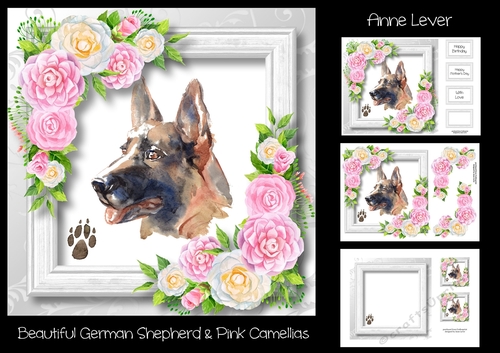 Beautiful German Shepherd & Pink Camellias