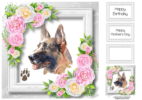 Beautiful German Shepherd & Pink Camellias 8x8