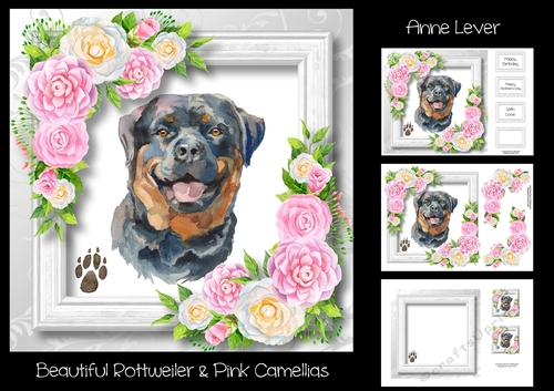 Beautiful Rottweiler & Pink Camellias