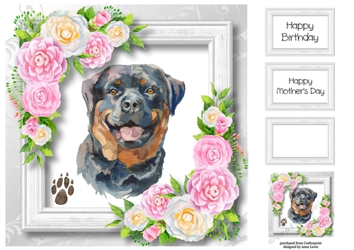 Beautiful Rottweiler & Pink Camellias 8x8