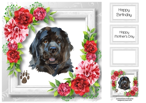 Beautiful Newfoundland & Red Camellias 8x8