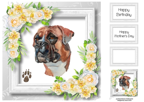 Beautiful Boxer & White Camellias 8x8